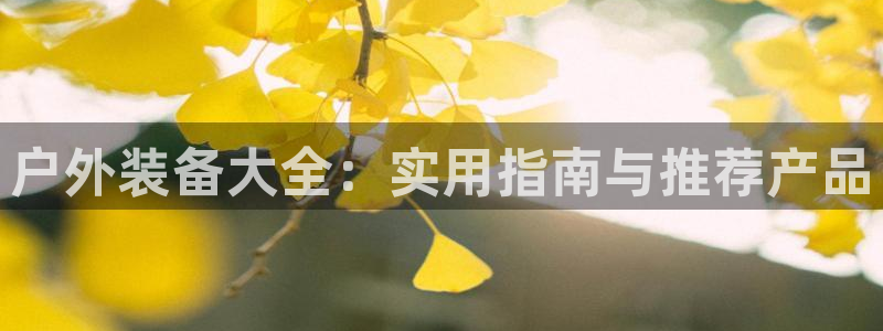 新宝哥gg
