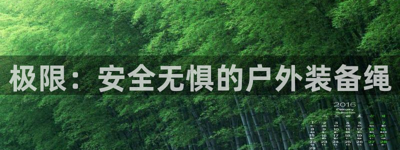 新宝gg官网