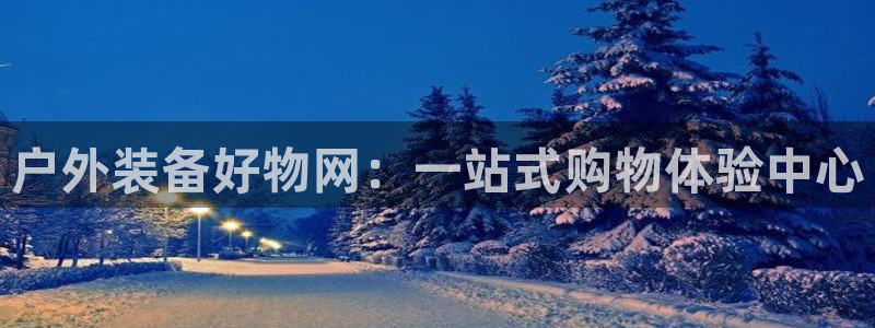 新宝gg手机版下载