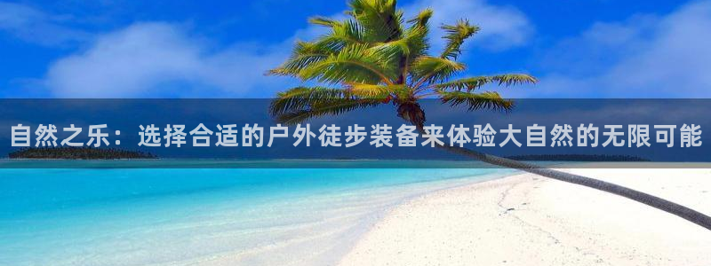 新宝gg分红