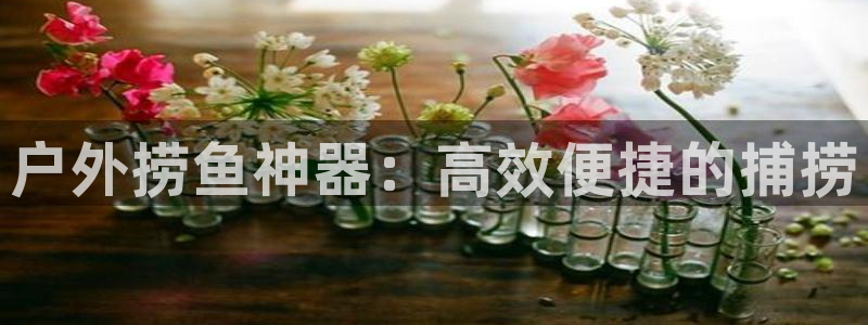 新宝GG挂机
