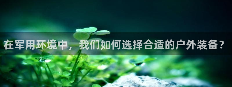 新宝gg走势