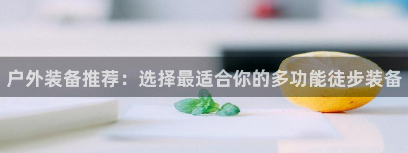新宝gg招商