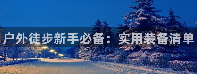 新宝.gg