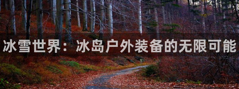 新宝gg平台开户