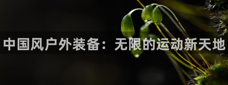 新宝哥gg
