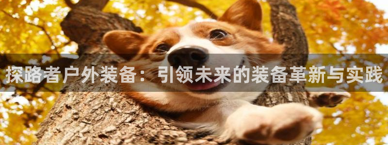 新宝gg官方