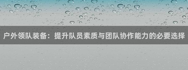 新宝gg