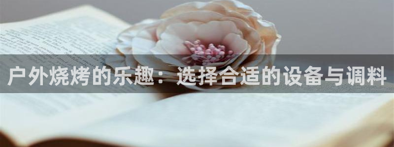 新宝gg代理