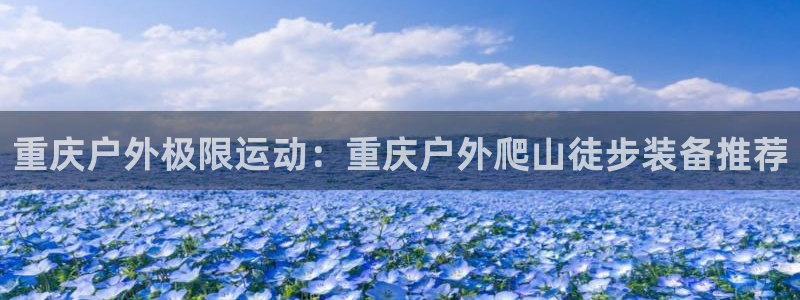 新宝gg下载