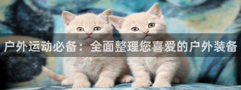 新宝gg手机助手