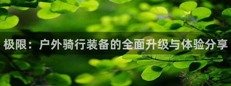 新宝gg-创业奇迹