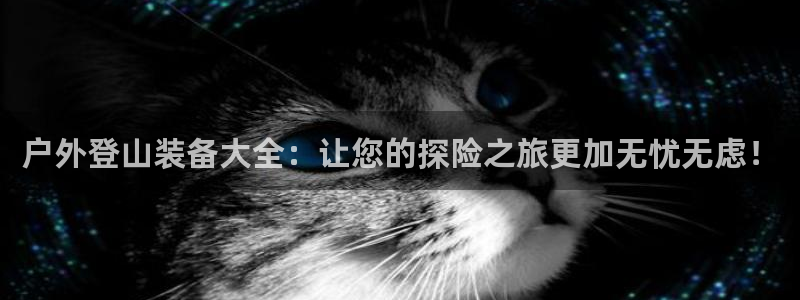 新宝gg总管