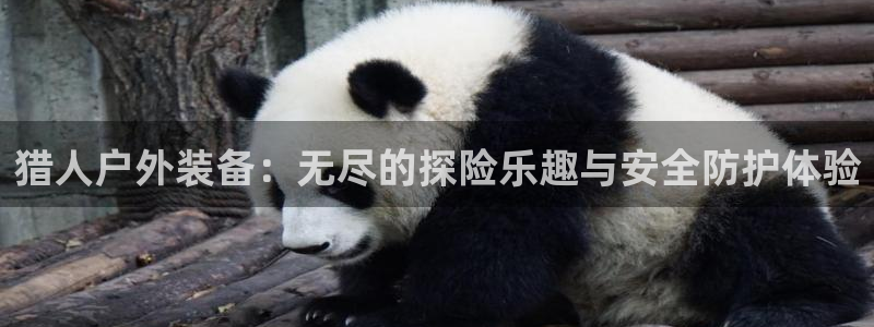 新宝gg怎么开户