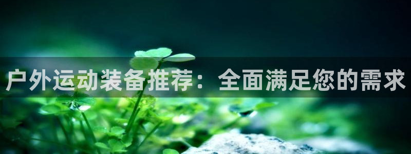 新宝gg首页
