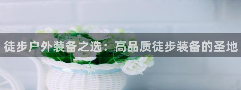 新宝5和新宝gg