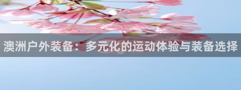 新宝gg挂机软件下载