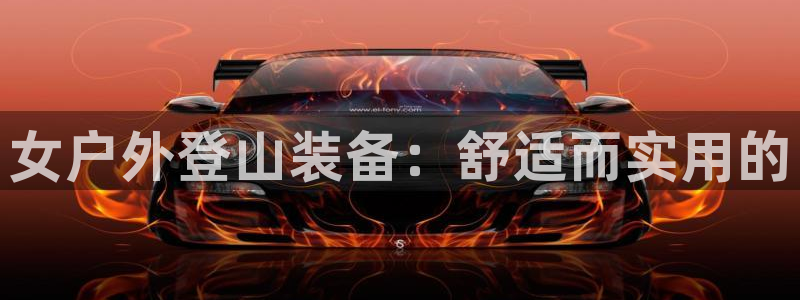 新宝gg辅助
