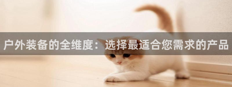 新宝gg 创