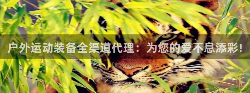 新宝gg是在境外吗