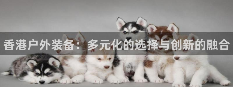 认准新宝gg