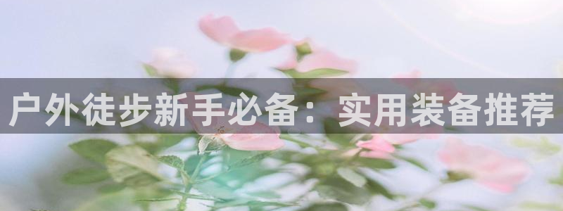 新宝gg娱乐-上鼎狐网