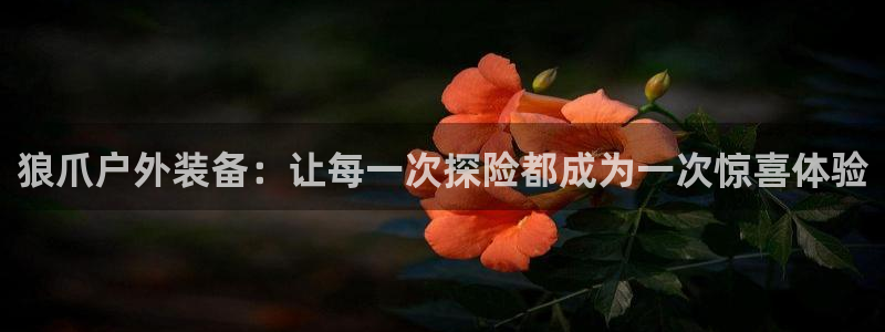 新宝gg如何