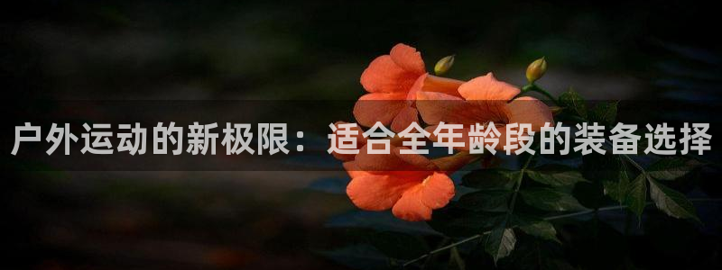 新宝gg论坛