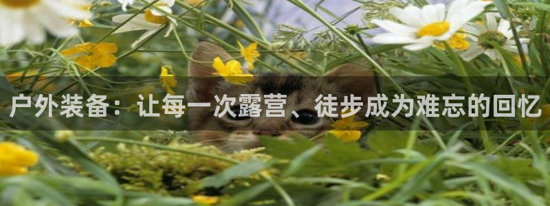 新宝gg测试