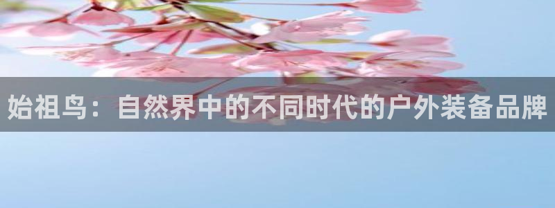 新宝gg直