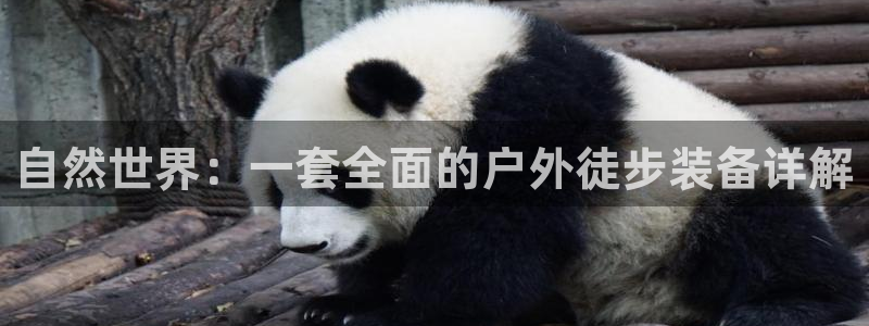 新宝gg主管都是谁