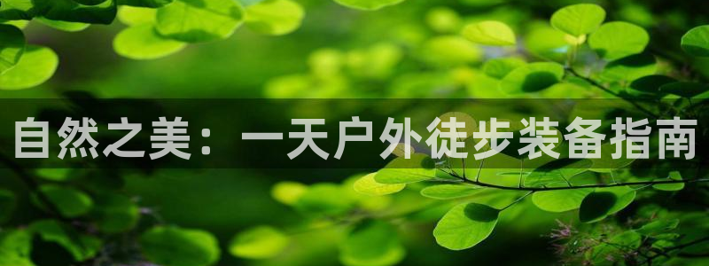 新宝gg作弊