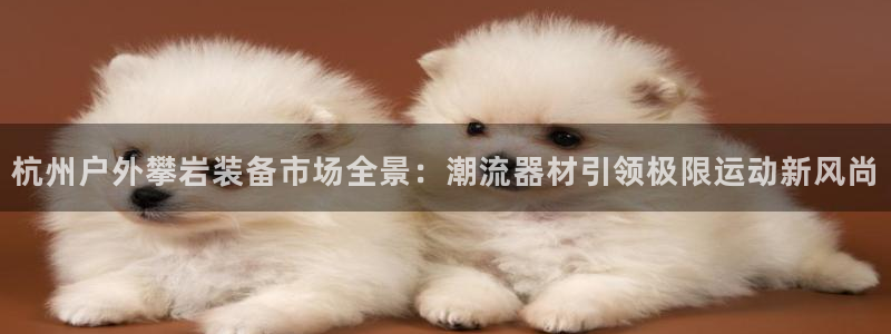 新宝GG最高返点多少