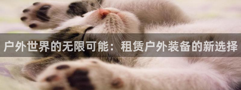 新宝gg找回账号