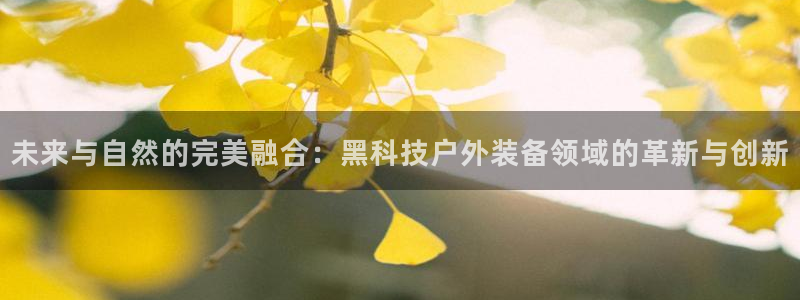 新宝gg软件下载