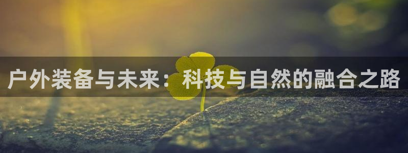 新宝gg分红