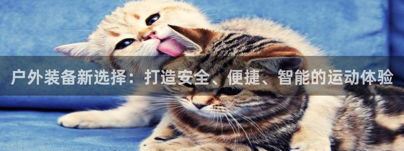 新宝gg创造奇迹下载