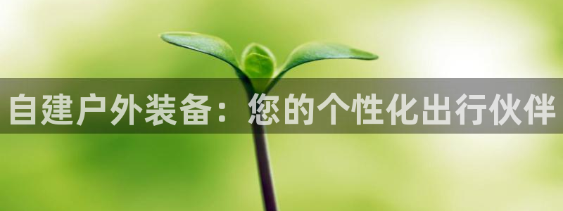 新宝gg一创造奇迹