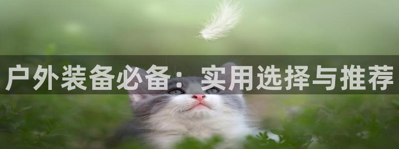 【新宝gg】