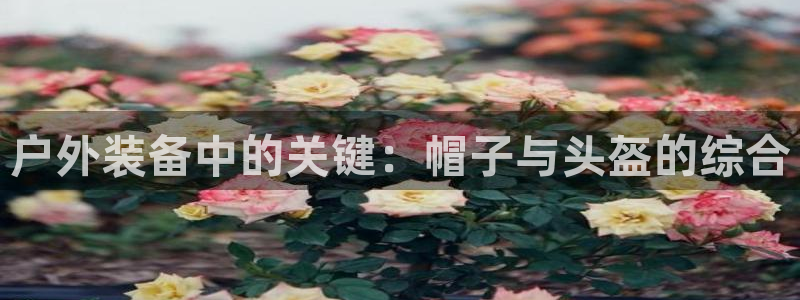 新宝 gg 下载
