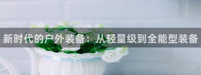 新宝gg入口网址
