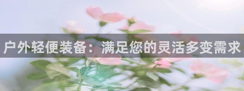 新宝Gg测速地址