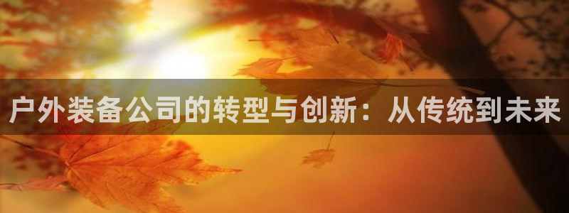 新宝gg开好
