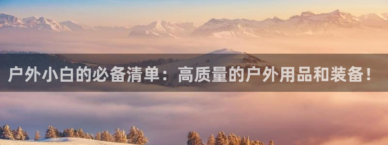新宝gg平