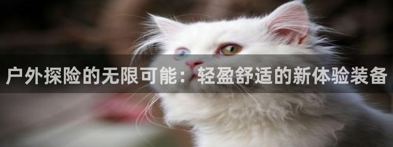 娱乐世界新宝gg