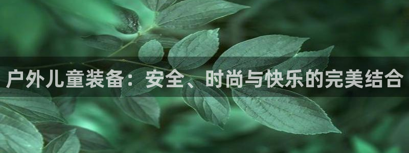 新宝gg真的