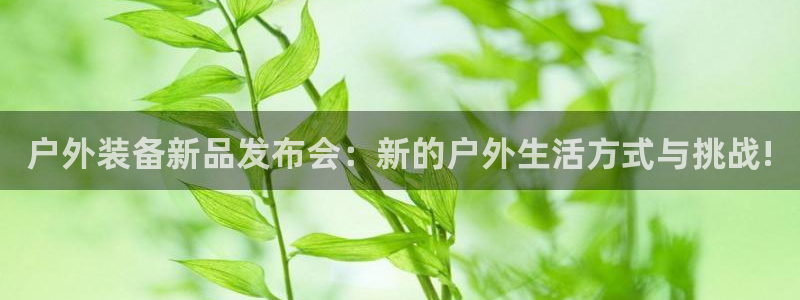 新宝gg黑平台
