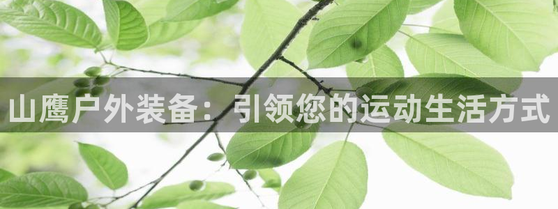 新宝gg主管、