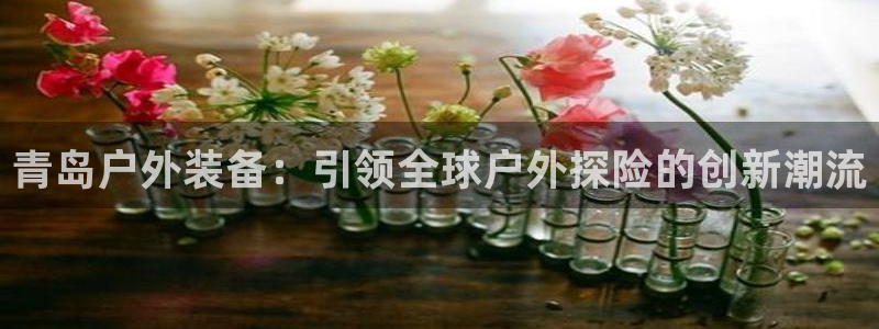 新宝gg测速