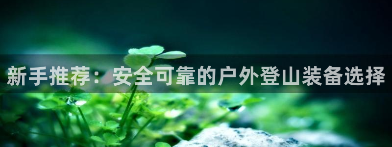 新宝gg登陆新